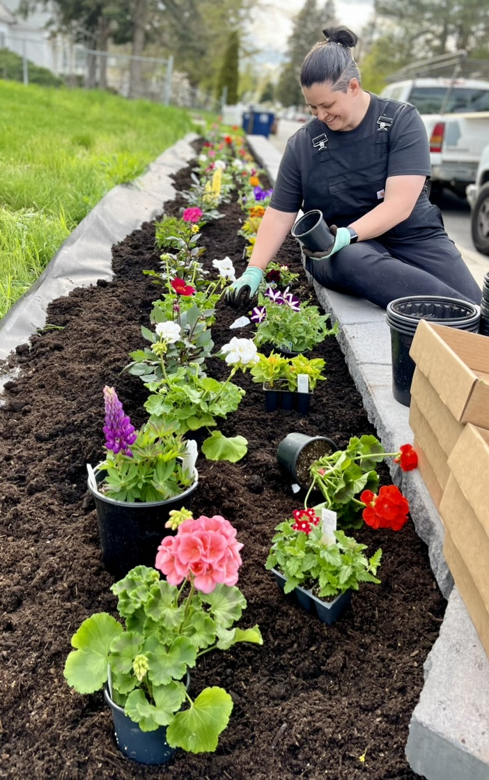 Ali, the author, planting flowers behind retaining wall.